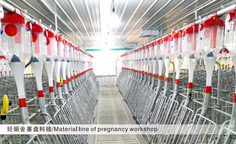 妊娠舍塞盤(pán)料線